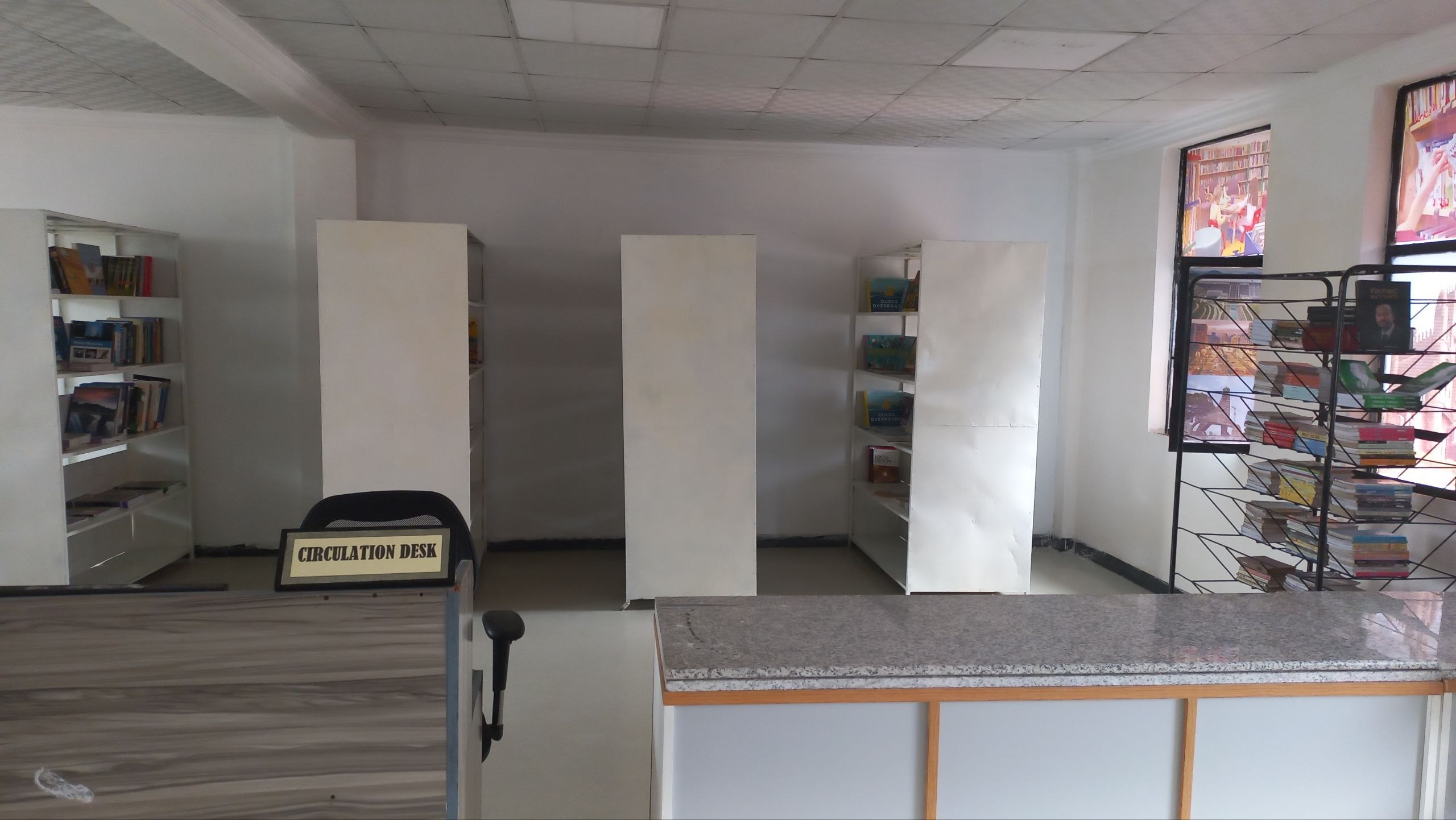 Library Activity 8